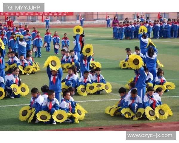 维族足球崛起之路探秘民族团结与体育精神的完美结合